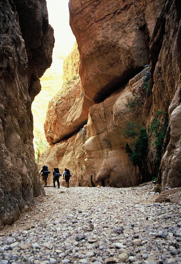 Rom Hatayelet Arad Bagian luar foto